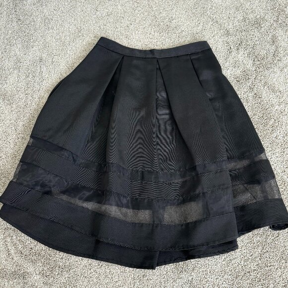 Express Tulle Skirt - Picture 1 of 2